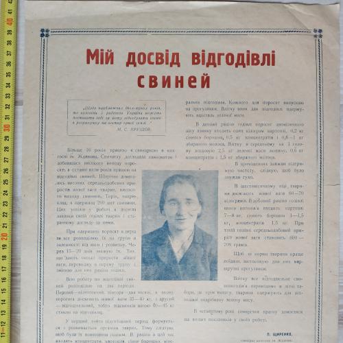 Плакат Опыт откорма свиней Кролевецкий район Сумская область 1962 год Агитация Пропаганда СССР