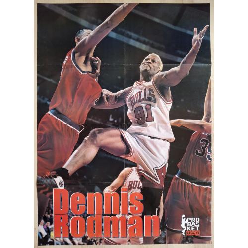 Плакат Постер НБА Баскетбол Деннис Родман NBA Basketball Vintage Poster Dennis Rodman