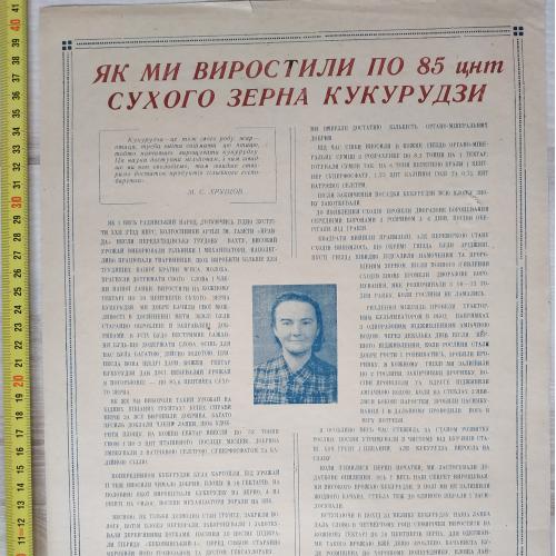 Плакат Сухое зерно кукурузы Кролевецкий район Сумская область 1962 год Агитация Пропаганда СССР