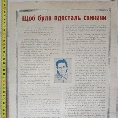 Плакат В достатке свинины Кролевецкий район Сумская область 1962 год Агитация Пропаганда СССР