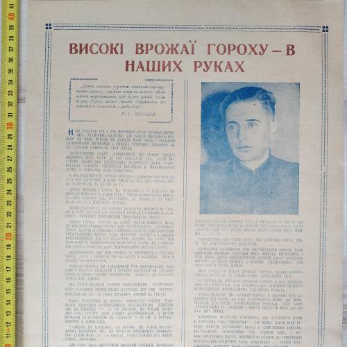 Плакат Высокие урожаи гороха Кролевецкий район Сумская область 1962 год Агитация Пропаганда СССР