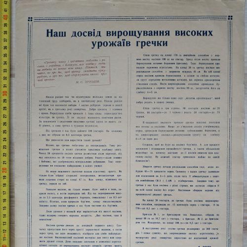 Плакат Высокие урожаи гречки Кролевецкий район Сумская область 1961 год Агитация Пропаганда СССР