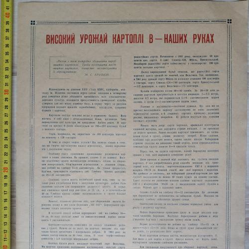 Плакат Высокой урожай картофеля Кролевецкий район Сумская область 1962 год Агитация Пропаганда СССР