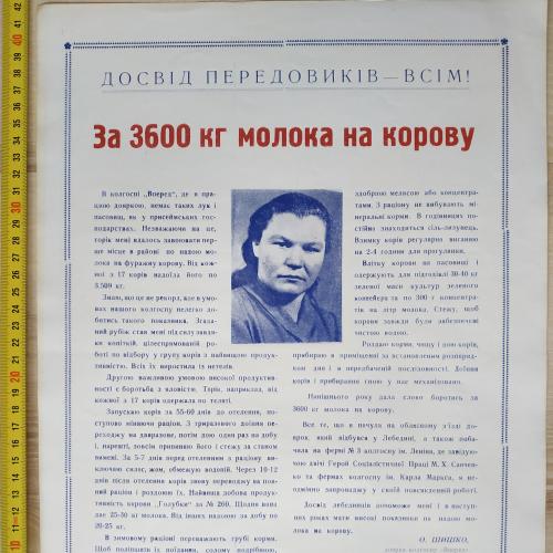 Плакат За 3600 кг молока на корову Кролевецкий район Сумская область 1969 Агитация Пропаганда СССР