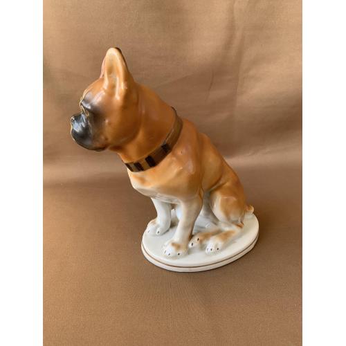 Статуэтка Фарфор Собака Боксёр Скульптурна композиція «Боксер» ЛФЗ 