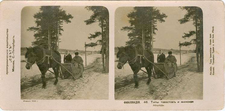 Стерео пара фото открытка Финляндия Типы тавастов и финская лошадь 1910 Россия Империя