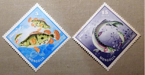 Серія " Річкові хижі риби ". Монголія. 1965р. MNH.