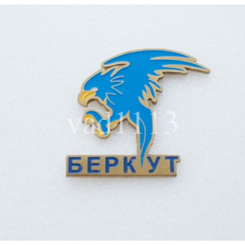 Хоккей . хоккейные клубы Украины  ХК Беркут Киев