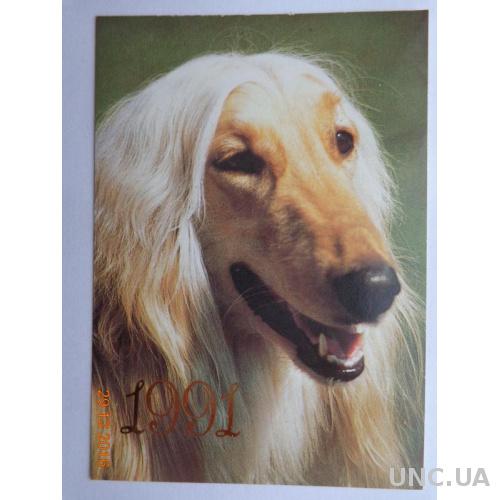 Карманный календарь "Собака породы "Афганская борзая" (на 1991 год) отличное состояние
