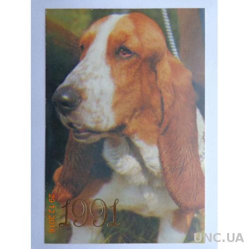 Карманный календарь "Собака породы "Бассет-хаунд" (на 1991 год) отличное состояние

