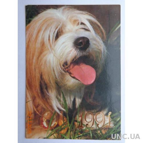 Карманный календарь "Собака породы "Болонка" (на 1991 год) отличное состояние
