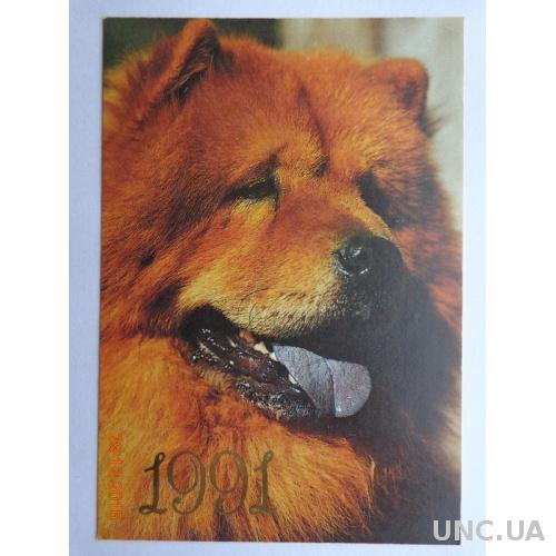 Карманный календарь "Собака породы "Чау-чау" (на 1991 год) отличное состояние
