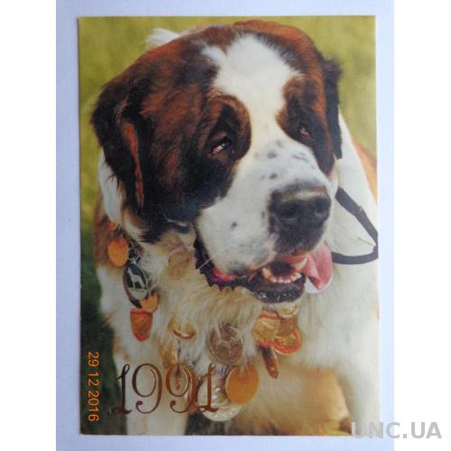 Карманный календарь "Собака породы "Сенбернар" (на 1991 год) отличное состояние
