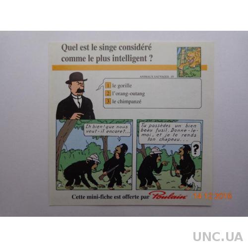 Вкладыш от шоколада "Poulain" (Франция) № 19 "Chimpanze"
