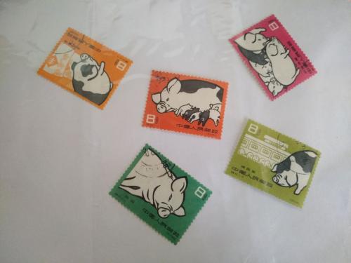 Свиньи, Китай (свиноводство, 1960 год)