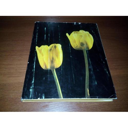 ЦВЕТЫ (Иллюстрированный альбом)