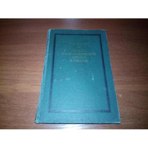 Гибель наполеоновской армии (П.А. Жилин)