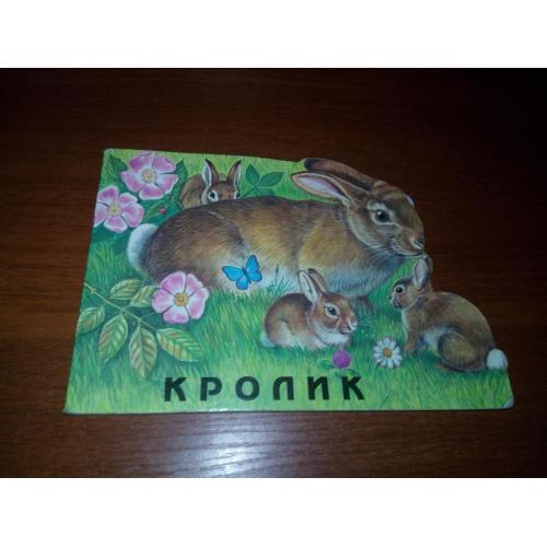 Кролик