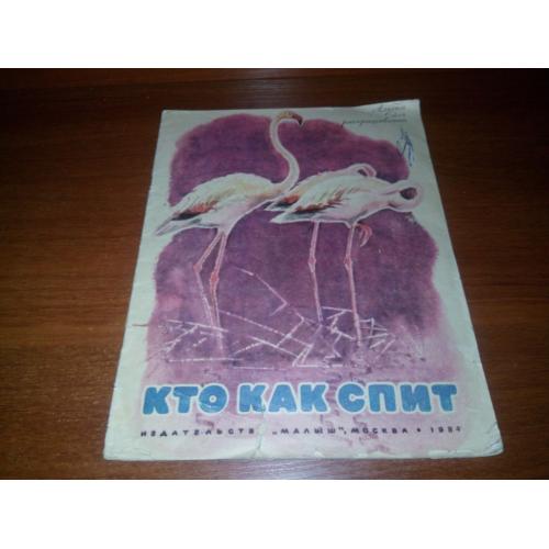 Кто как спит (Альбом для раскрашивания)