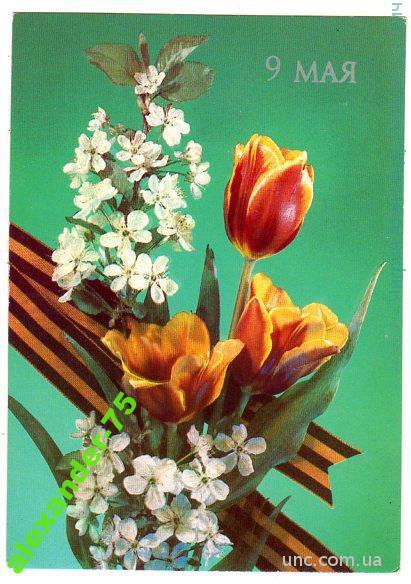 9 мая.Весенний цвет.Тюльпаны.Георгиевская ленточка