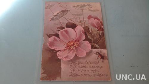 Эндаурова. Серия цветы и поговорки. 32