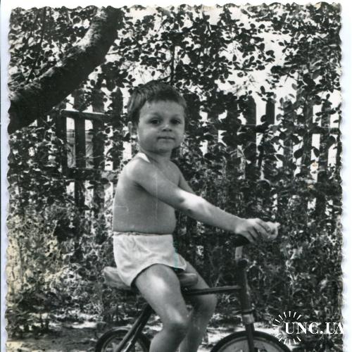 Фото. Быт в СССР.   Торс. Мальчик в плавках. Мальчик на детском велосипеде