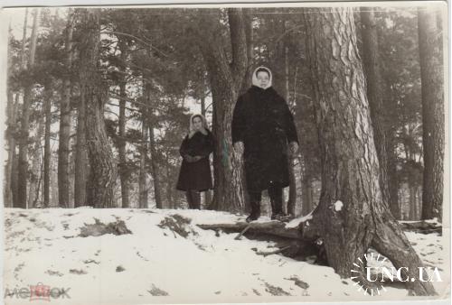 ФОТО.  Зима. Мама с дочкой в лесу.