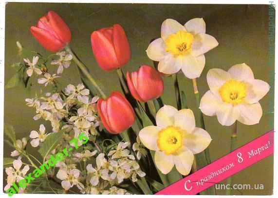 Круцко Л.С праздником 8 марта.Тюльпаны.Нарциссы.