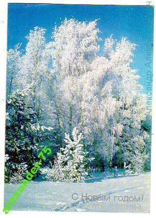 Снежный лес.С новым годом.