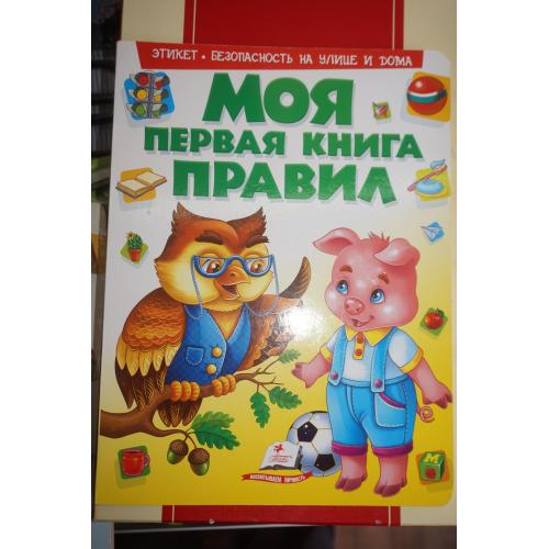 Моя первая книга правил. Этикет. Безопасность на улице и дома.