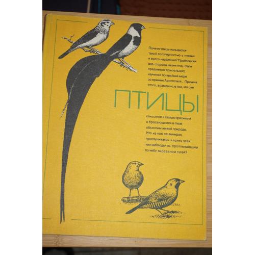 Уэлти К., Сторер Дж., Пенникуик К. Птицы. Сборник статей.