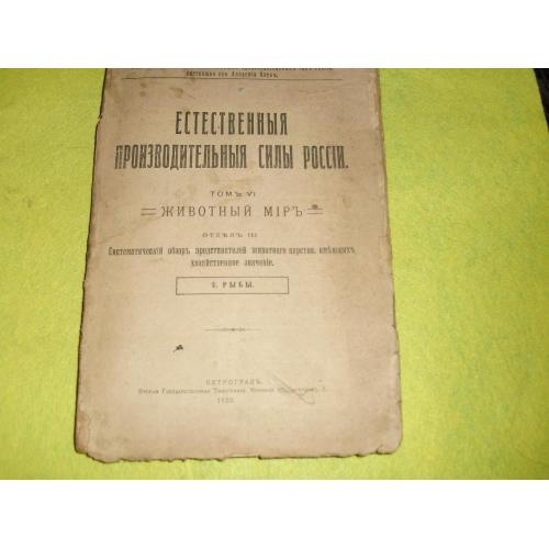 книги антикварные-94