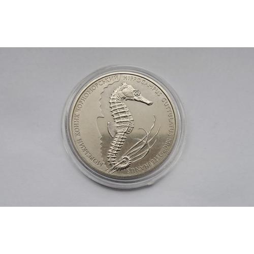 Морський коник / Морской конек 2003