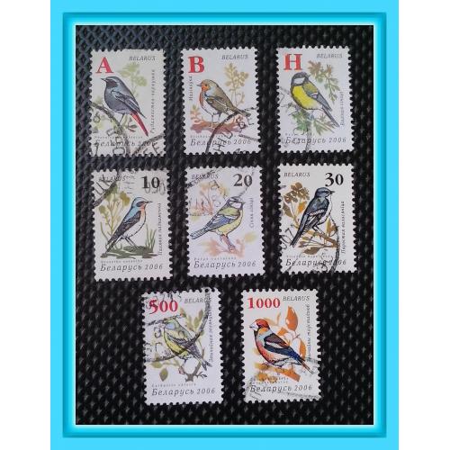 Набор почтовых марок Р.Беларусь «Садовые птицы - Garden Birds» (2006 г.) - № 2.