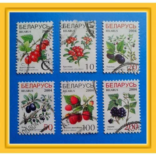 Набор почтовых марок Р.Беларусь «Садовые ягоды» (2004 г.) - № 4.