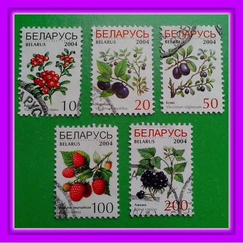 Набор почтовых марок Р.Беларусь «Садовые ягоды» (2004 г.) - № 5.