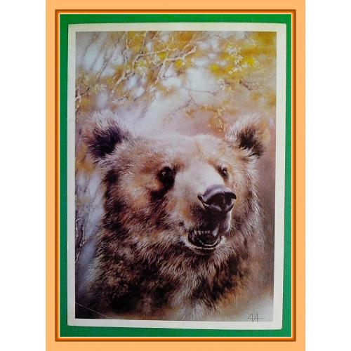Набор почтовых открыток СССР «В фонд помощи зоопаркам». 