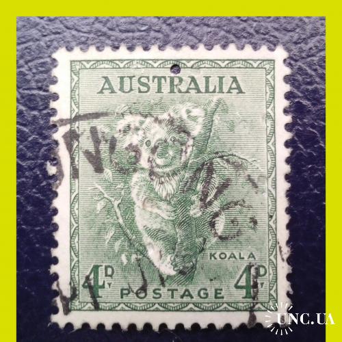 Почтовая марка  Австралии  «Phascolarctos cinereus».