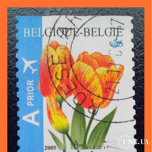Почтовая марка Бельгии  «Flower".