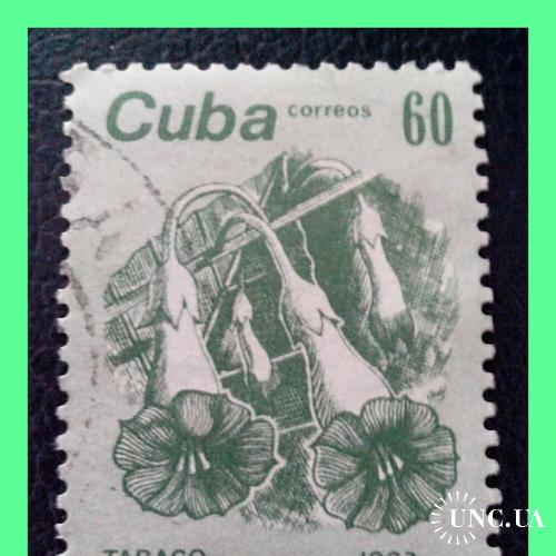 Почтовая  марка   Кубы  «Flowers».