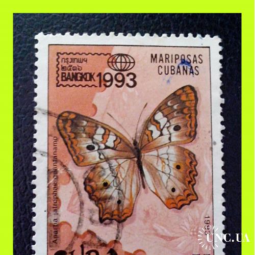 Почтовая марка  Кубы  "Выставка "BANGKOK 1993"».