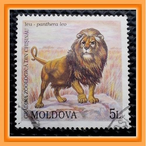 Почтовая  марка  Молдовы  «Кишинёвский зоопарк: Лев»  (2).