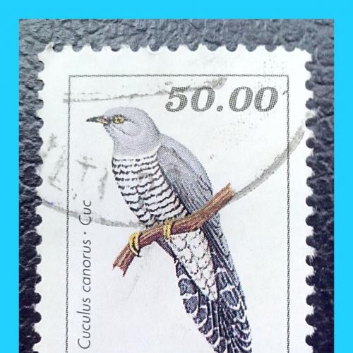 Почтовая марка   Молдовы   «Птицы: Обыкнове́нная куку́шка»  (3).