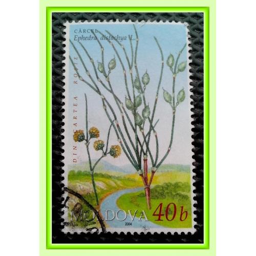 Почтовая марка Молдовы «Растения» (1)