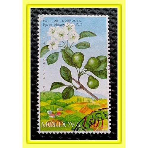 Почтовая марка Молдовы «Растения» (2).