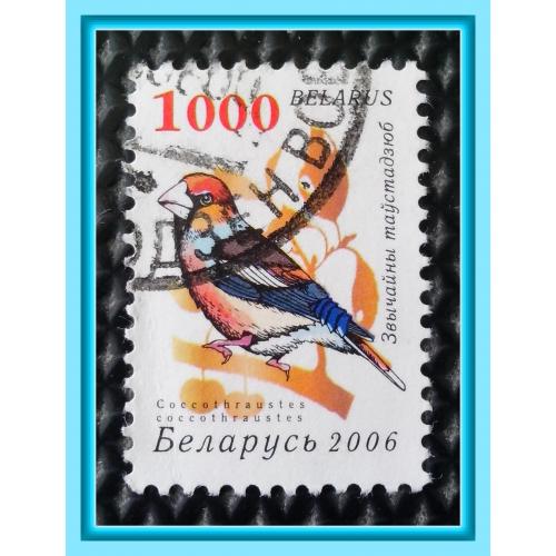 Почтовая марка  Р.Беларусь «Garden Birds - Обыкновенный дубонос» (2006 г.), № 5.