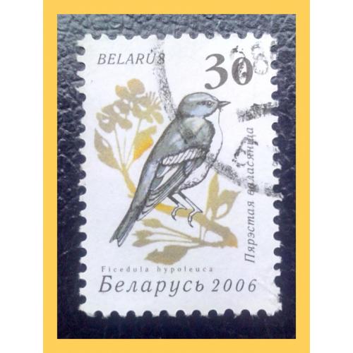 Почтовая марка Р.Беларусь «Garden Birds - Мухоловка» (2006 г.), № 2.