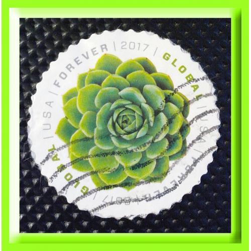 Почтовая  марка  США  «Кактус» - "2017 Green Succulent - Global Forever " (3). 