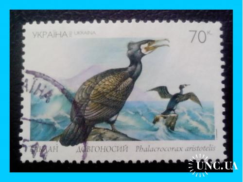 Почтовая   марка   Украины    "Баклан"   (2002 г.).