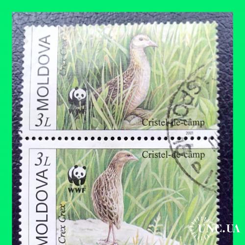 Почтовые  марки   Молдовы   «Птицы:  Коростель»  (1).